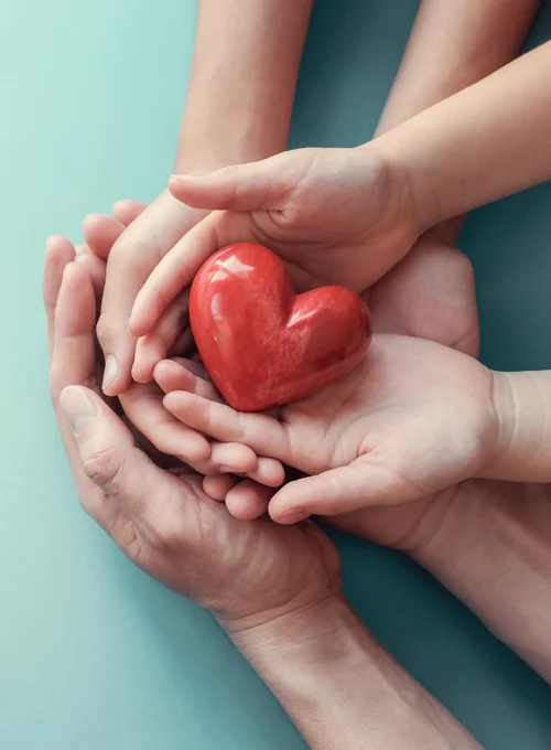 Two sets of adult hands and a pair of children's hands all cradling a ceramic heart