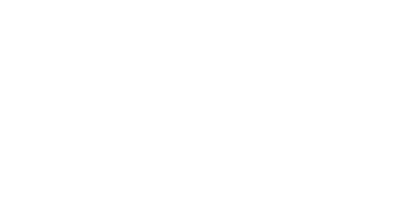 The Homepage logo for SpinePro Chiropractic